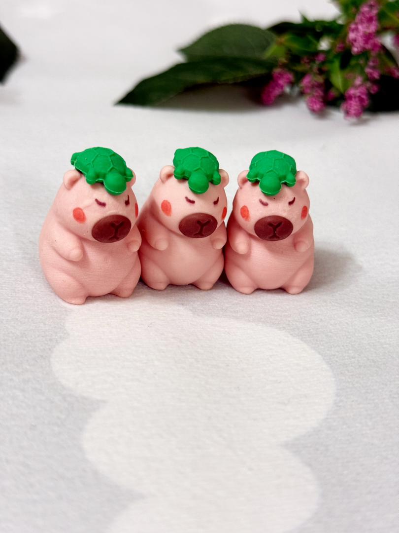 پاک کن کاپی بارا